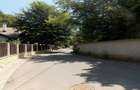 Teren extravilan Padurea Baneasa , Voluntari - 3