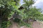Proprietate de Vânzare în Sat Dalga, Comuna Calopăr - 2900 mp | Două Case + Plan - 6