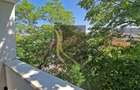 Apartament 3 camere, 75mp, bloc reabilitat, Giulesti - Prunaru - 6