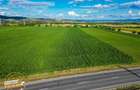 FILM! 30.200 mp teren intravilan,recomandat: investitie/exploatare agricola,Vale - 2