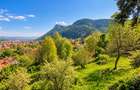 Resedinta distinctiva, pe domeniu de 2.200mp, cadru exclusivist, Central, Brasov - 5