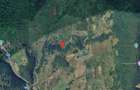 Bistrita, Drumul Tărpiului, Teren extravilan -5.800 mp - 1