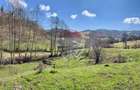 Teren 7,495mp Barsana /  Valea Muntelui