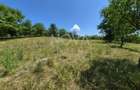 Casa individuala cu teren generos – 8.356 mp – Tichindeal, jud. Sibiu - 43