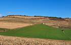 Teren agricol de vanzare  - 2