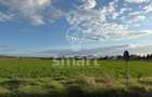 Teren Bistrita Valea Jelnei 19 eur mp - 6