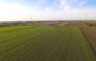 Teren Investitional 1,24 ha Com Berceni | deschidere 42ml | #CG28 - 7