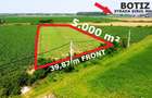Teren extravilan - 5.000 m² in Botiz | 3 km de Satu Mare - 1