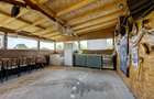 RACARI - DAMBOVITA, CASA PE PARTER 85 MP, LOT 2200 MP! - 12