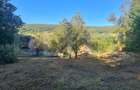 Casa individuala, 170 mp, 2400 mp de teren, zona Micesti - 16