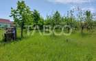 Casa de vanzare cu teren 2000 mp 5 camere  Sura Mare Hamba Sibiu - 14