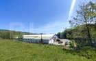 Hale si teren ,curte betonata , destinatii multiple - 6
