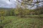 0 % comision, Lot format din 3 parcele, zona Antonio Gaudi-Borhanci - 5