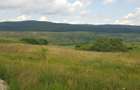 Teren intravilan 1000 mp, cu PUZ, zona platoului Radaia - 3