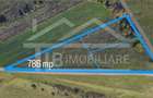 Teren, 786 mp, intravilan, Zona Viile 1 Mai - 1