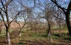Vand teren in Santelec - 4