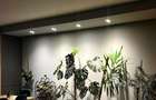 Penthouse de inchiriat in Borhanci, terasa generoasa - 8