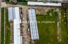 Hale depozitare/producție 2.000 mp si 10.000 mp teren în Pecica - 4