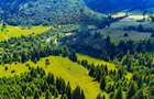 Natură— 18.900 mp în Săcele, cu râu și priveliște montană - 7