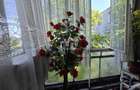 Apartament cu 3 camere, zona Bvd. Stafionului/BZ ~ etaj 3 din 4 ~ cu imbunatatir - 10