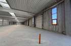 Vanzare depozit/spatiu industrial/hala Chitila - Rudeni, ILFOV - 5
