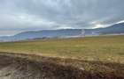 Teren Construcții intravilan de 11500 mp, în Bartolomeu - 2
