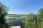 Teren Intravilan 17 m deschidere lac Silistea Snagovului - 2