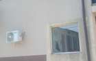 Rahova-Teius-Magurele - 14