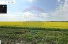 Teren 25.26ha Dascalu / DJ 200 - 8
