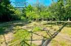 Vila P+1+5600 mp teren, proprietate de 5 km de oras - 6