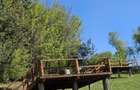 Pensiune in jud. Buzau, loc Ivanetu| Constructie lemn|Pozitionare impresionanta - 53
