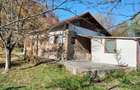 Iedera, Cricovul Dulce, casa de vanzare 90mp, teren 2450mp - 14