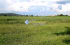 Teren de vanzare in Oarda, zona Ses la sosea 2000 mp - 3