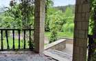 CASA P + M  1 GARSONIERA SI TEREN DE VANZARE IN TARGU OCNA - 13