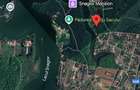 Teren de vanzare SNAGOV pe Lac si Padure - 8