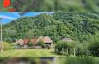 Casa deosebita in zona turistica pitoreasca Valea Ariesului - 8