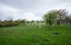Proprietate unică, în zonă verde și liniștita - 10