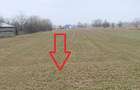 Teren de vanzare 7.123 mp intravilan, Buhusi - 11