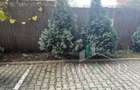 Ap 2 camere | RENOVAT | BALCON | PARCARE | Corneliu Coposu/Autogară - 39