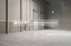 WDP Industrial Park Stefanesti, spatii industriale, 5.000 - 53.000mp - 6