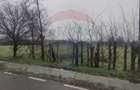 Teren intravilan 2.205 mp – dublă deschidere, utilități, parcelabil - 8