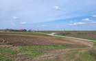 VANZARE TEREN PRUNDU INTRAVILAN AGRICOL GIURGIU POTENTIAL - 4