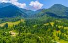 Natură— 18.900 mp în Săcele, cu râu și priveliște montană - 3