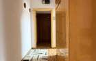 Dacia, Guliver, stradal - 9