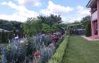 Vila, Republicii, Bacau - 25