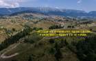 Teren cu panorama unica si incredibila in Sirnea - 5