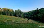 Casa de Poveste in Rasca, Cluj - Refugiul Ideal pentru  Relaxare - 38