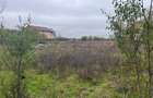 TEREN DE VANZARE PROGRESULUI 5600 MP !!! - 5