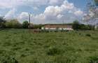 Ferma complet utilată – 30 ha teren comasat Timiș – Comuna Biled