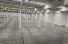 Spatii Industriale - 10000 mp - Logistica - Productie - Depozitare - Distributie - 14